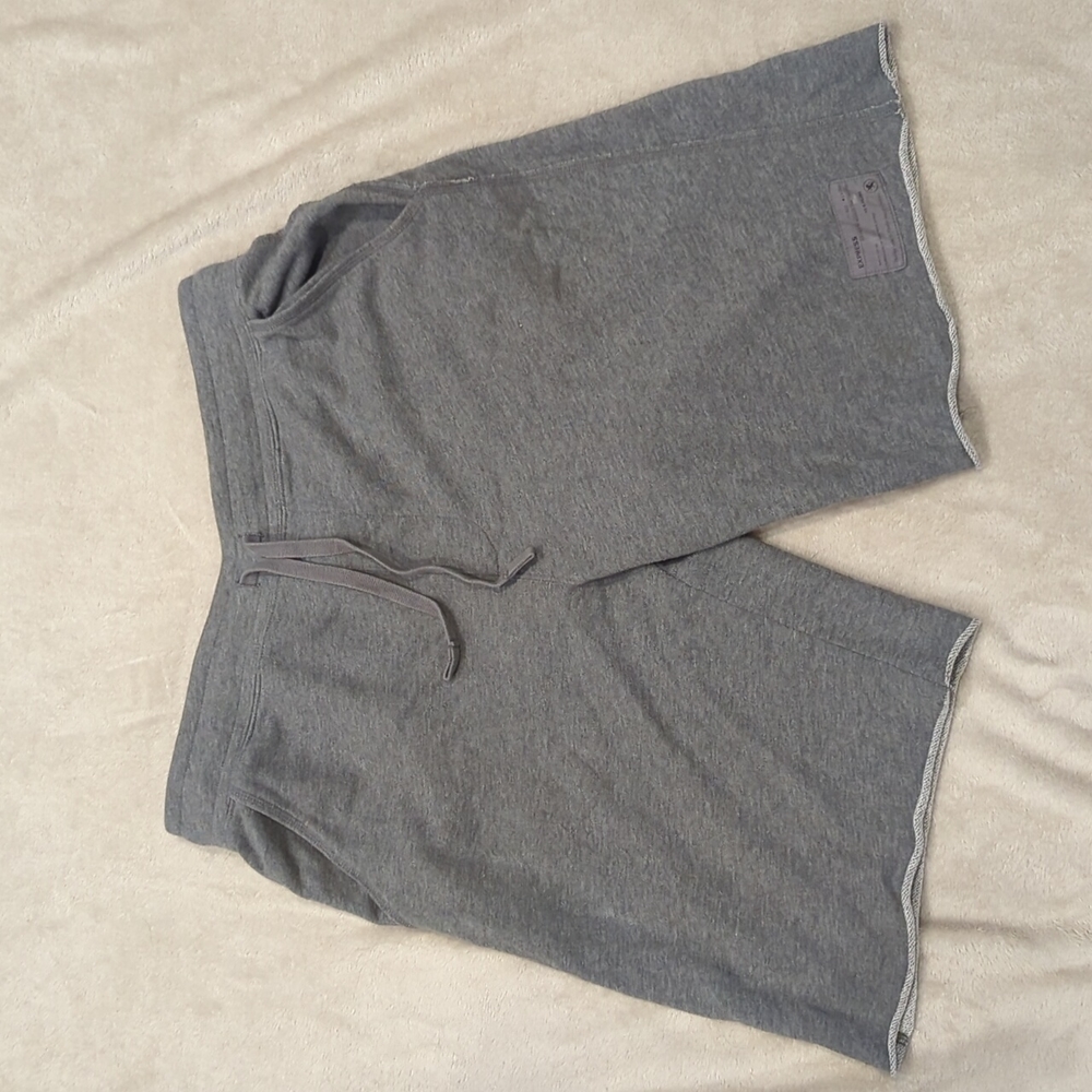 Express shorts size medium